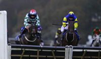 Exeter Races, Exeter, UK - 20 Nov 2023
