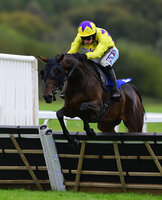 Exeter Races, Exeter, UK - 12 Oct 2023