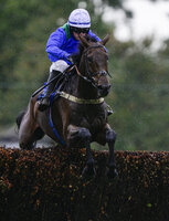 Exeter Races, Exeter, UK - 24 Oct 2023