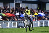 Exeter Races, Exeter, UK - 2 Nov 2021