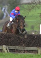 Silverton Foxhounds Point to Point