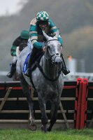 Exeter Races 011116