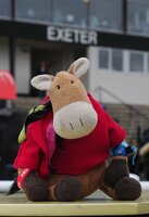 Exeter Races 061016