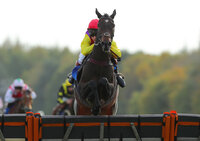Exeter Races, Exeter, UK - 23 Oct 2018