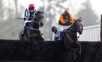 Exeter Races, Exeter, UK - 16 Apr 2019
