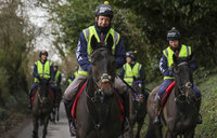 Racehorse Clan Des Obeaux, Ditcheat, UK - 14 Jan 2019