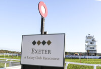 Exeter Races, Exeter, UK - 1 Jan 2019