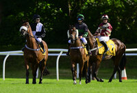 Newton Abbot Races, Newton Abbot, UK - 1 July 2022