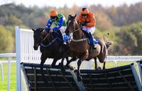 Exeter Races, Exeter, UK - 20 Nov 2022