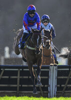 Exeter Races, Exeter, UK - 11 Feb 2024