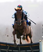 Taunton Races, Taunton, UK - 20 Feb 2024