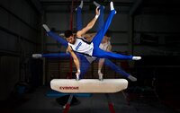 Gymnast, Louis Smith 110612