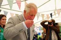 Prince of Wales visit, Cheriton Bishop, UK - 20 July 2017