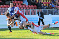 Plymouth Albion v Leinster Rugby 111014