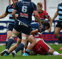 Plymouth Albion  v Bedford Blues 220815