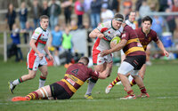 Ampthill v Plymouth Albion 020416