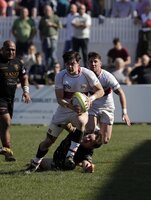 Plymouth Albion v Ampthill, Plymouth, UK - 8 Apr 2017 